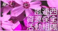 ���A�������ۑS�����g�D